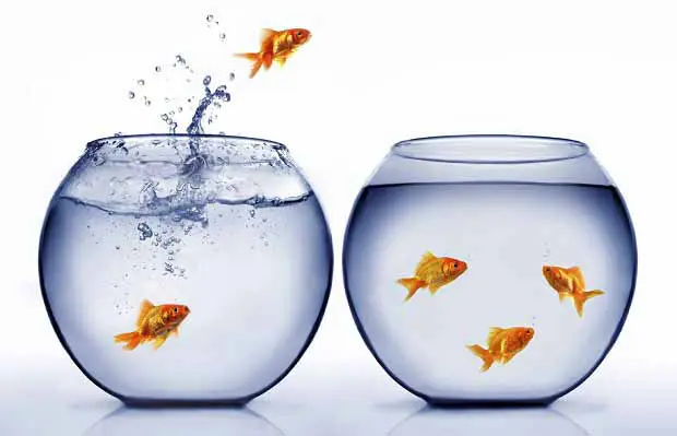 Lateral-move_6201 Lateral-move_6201