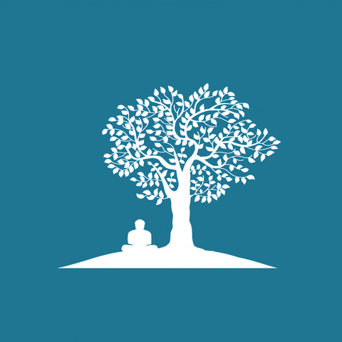 766EB7D6-6D80-48F3-B036-A7C77E1A65E7